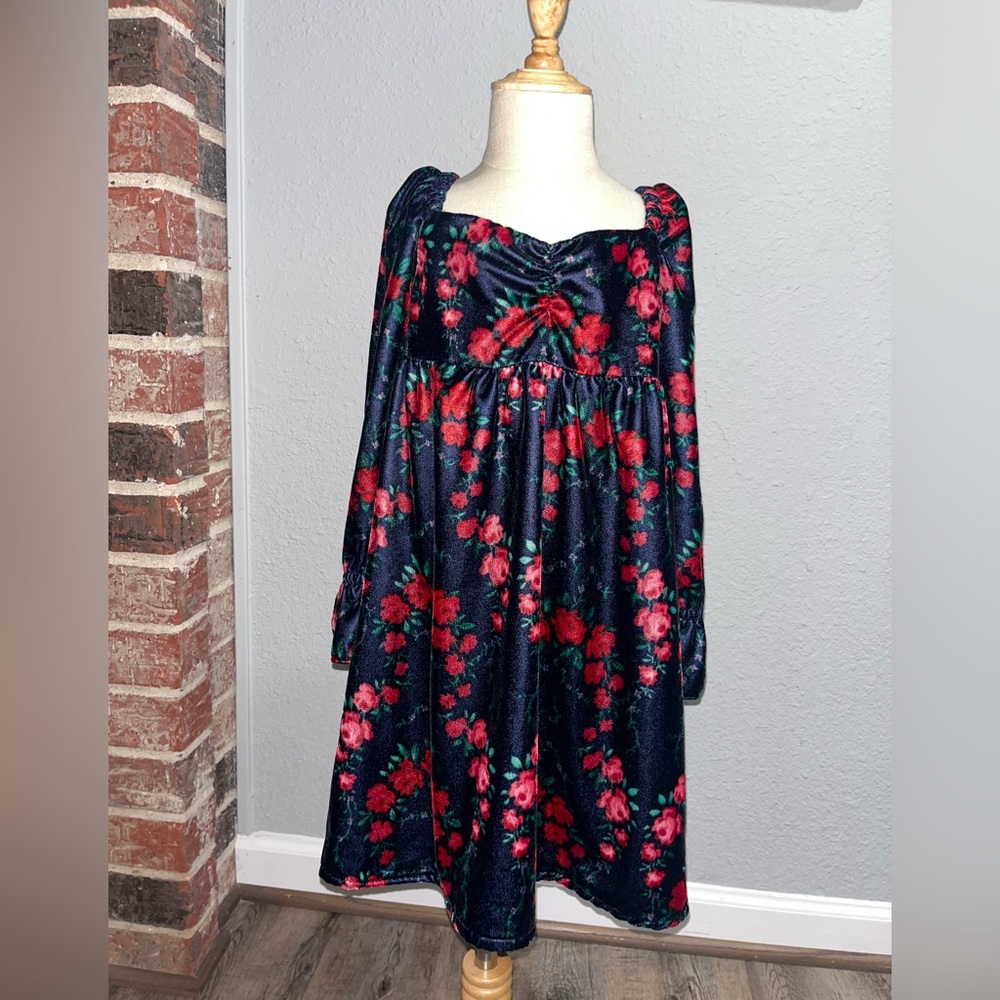 Janie and Jack ROSE VELVET dress
